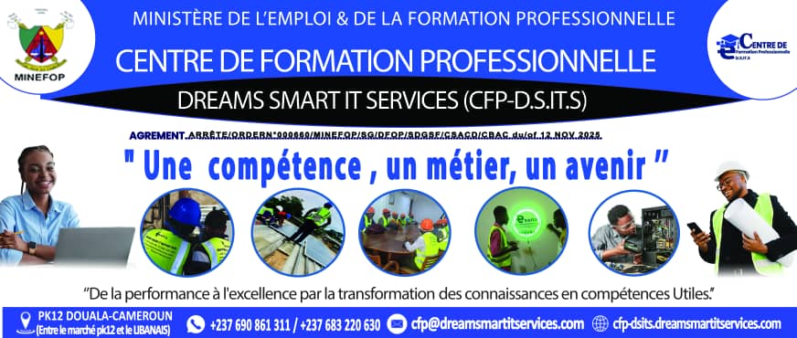 Image de la formation CQP en Arts Graphique et Médias visuels(infographie, traitement vidéo,…)80% Pratique